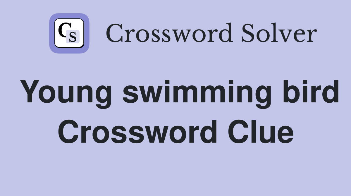 Young swimming bird Crossword Clue