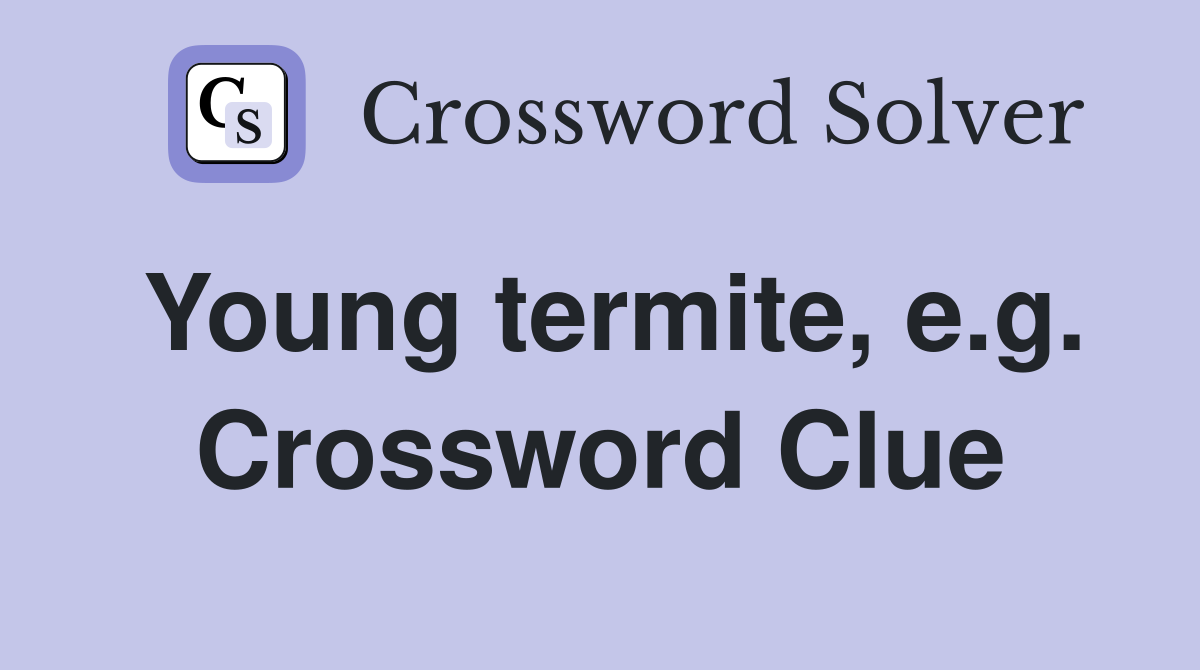 Young termite, e.g. Crossword Clue