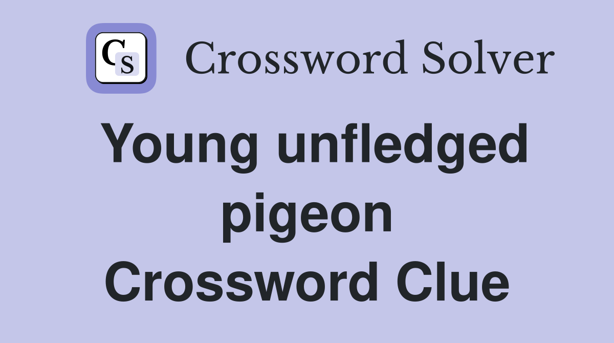 Young unfledged pigeon Crossword Clue