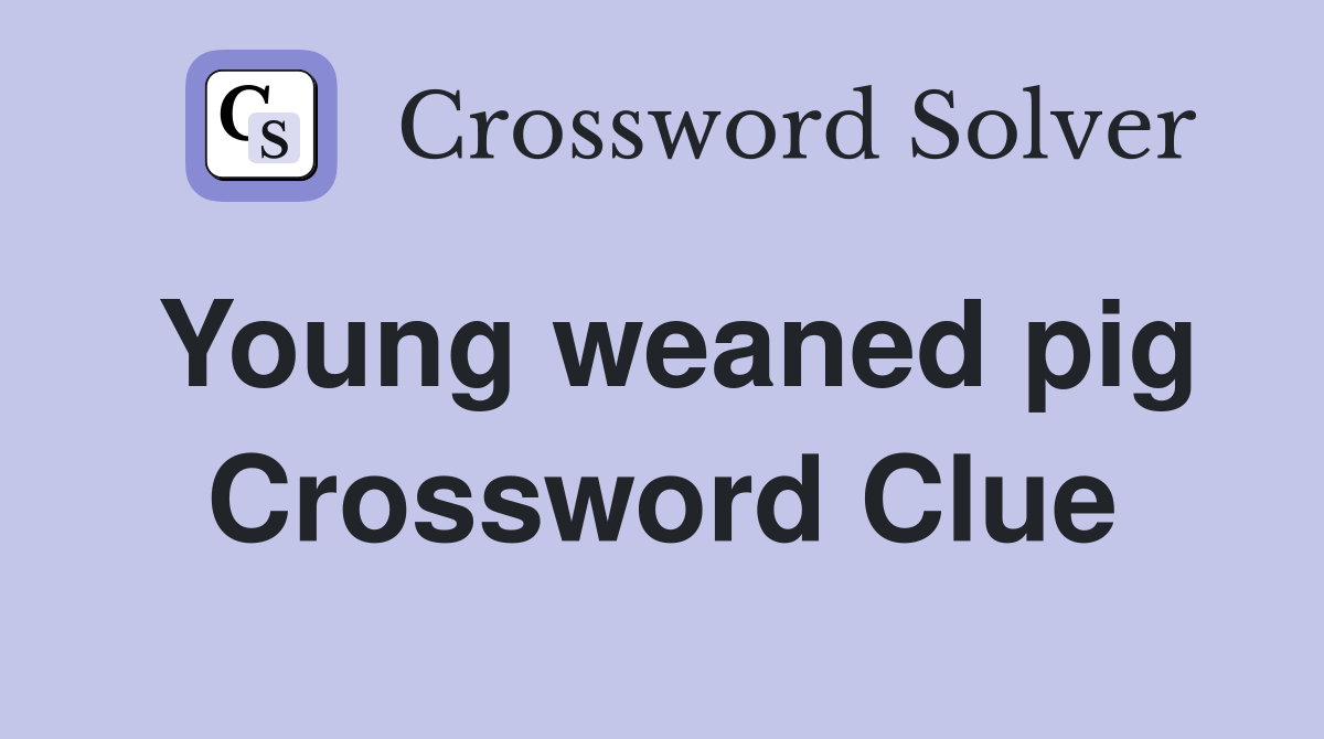 Young weaned pig Crossword Clue