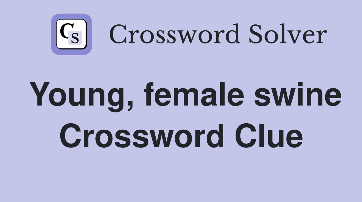 Young, female swine Crossword Clue