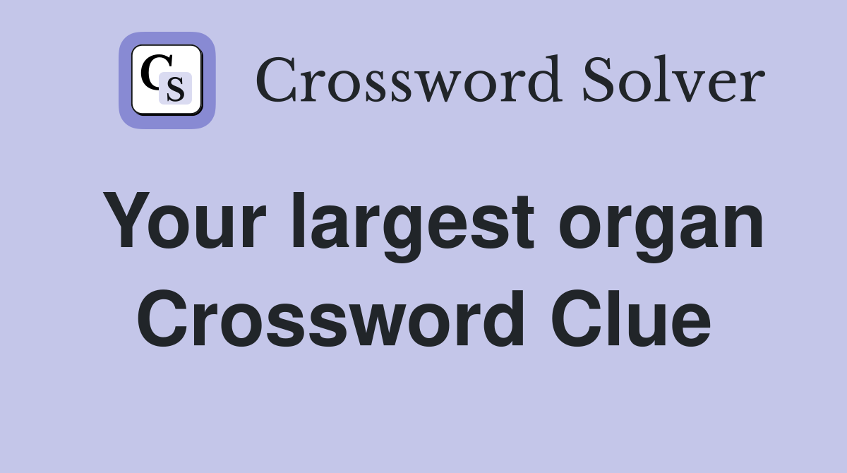 Your largest organ Crossword Clue