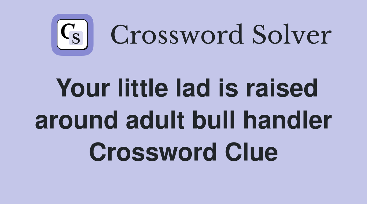 Your little lad is raised around adult bull handler Crossword Clue