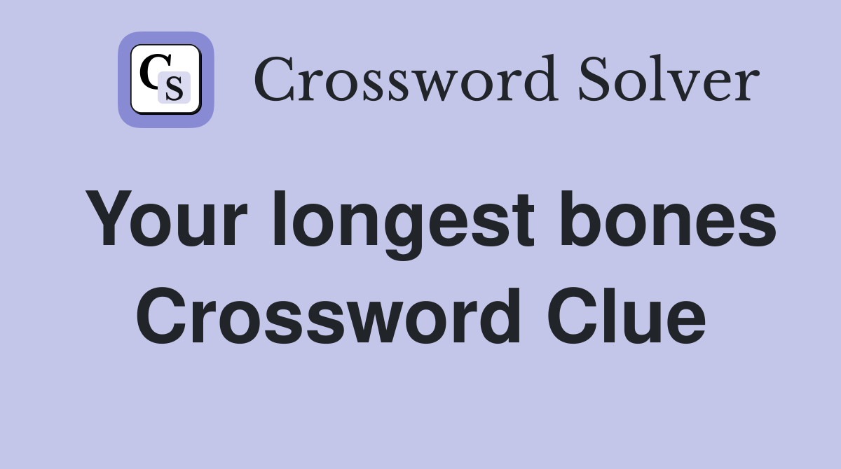 Your longest bones Crossword Clue