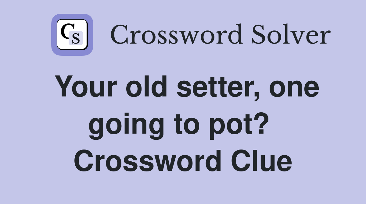 Your old setter, one going to pot?  Crossword Clue