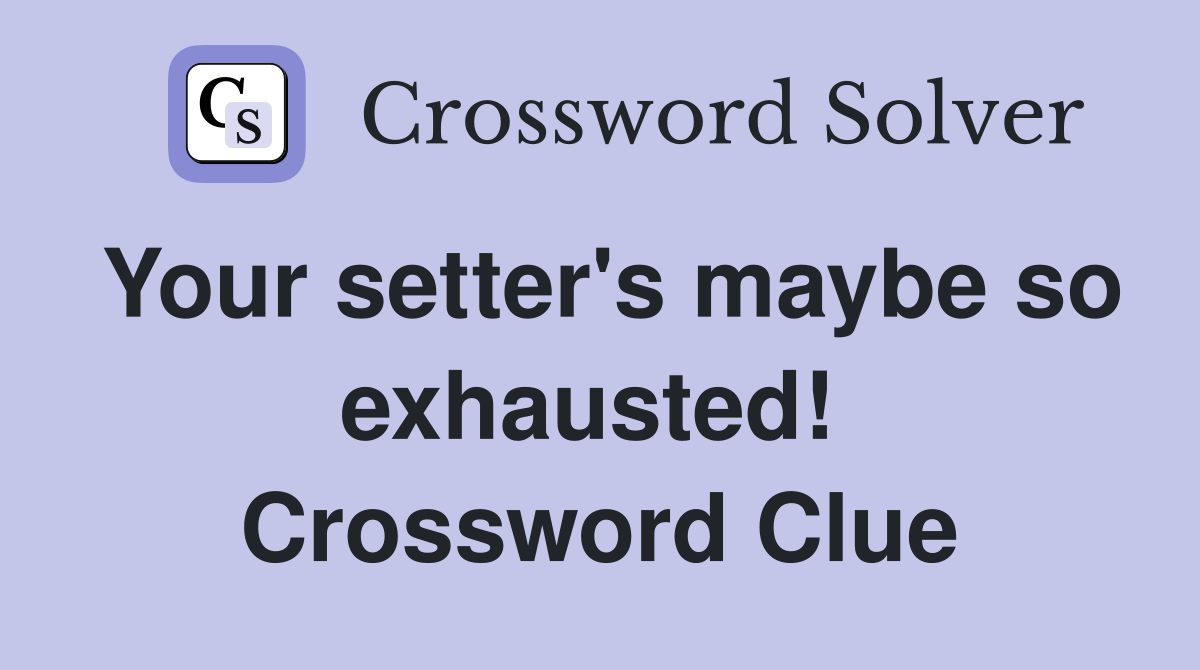 Your setter's maybe so exhausted!  Crossword Clue
