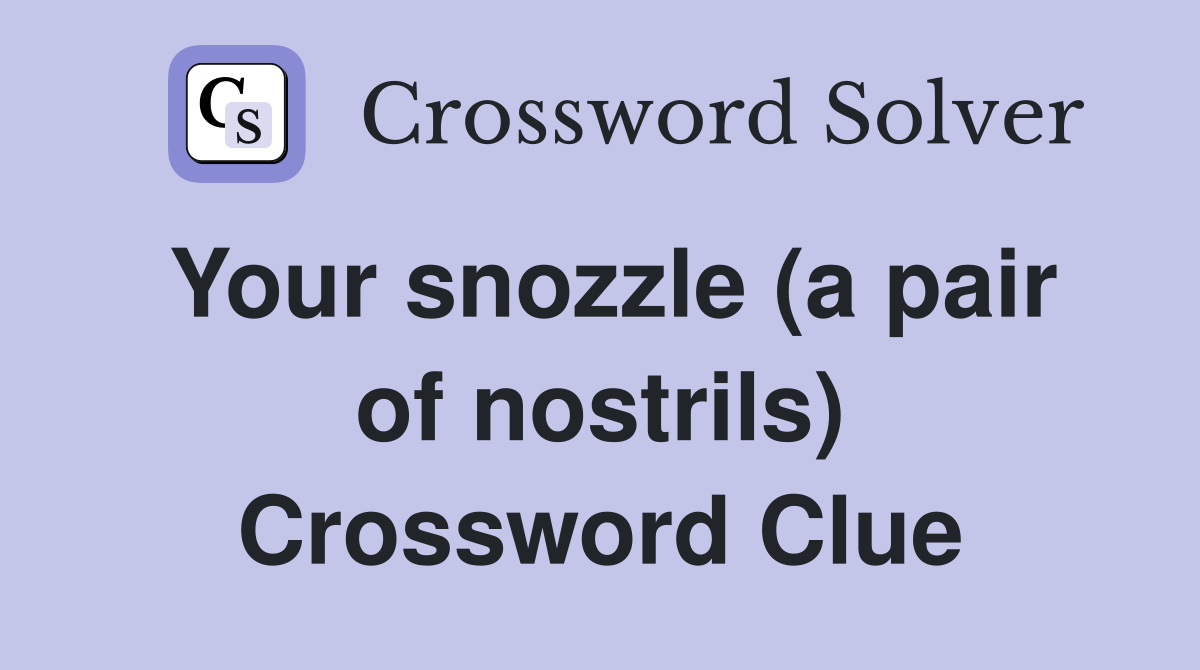 Your snozzle (a pair of nostrils) Crossword Clue
