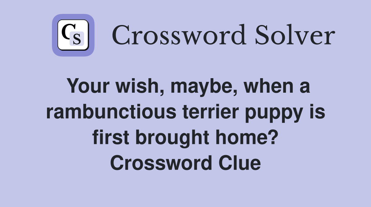 Your wish, maybe, when a rambunctious terrier puppy is first brought home? Crossword Clue