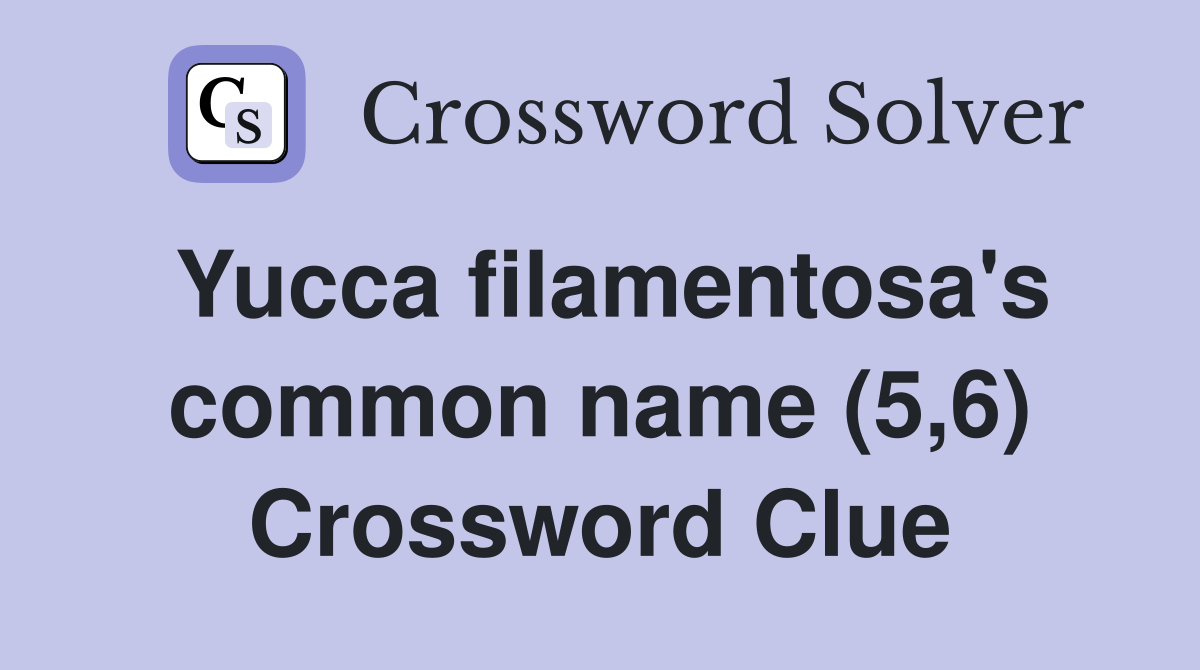 Yucca filamentosa's common name (5,6) Crossword Clue