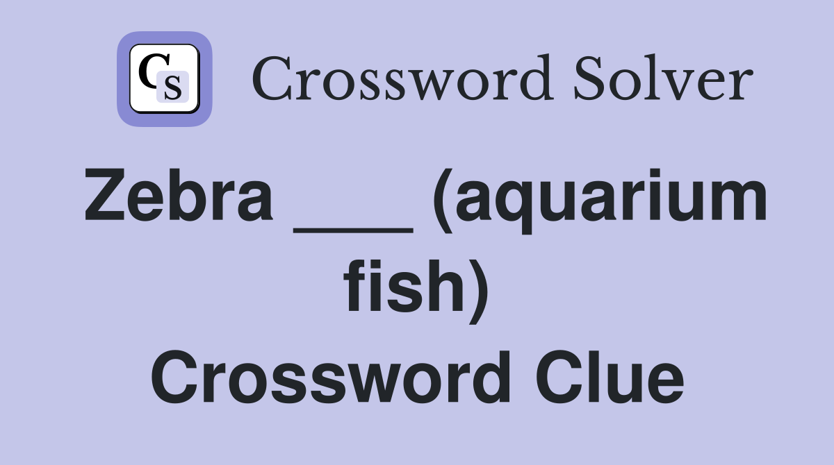 Zebra ___ (aquarium fish) Crossword Clue