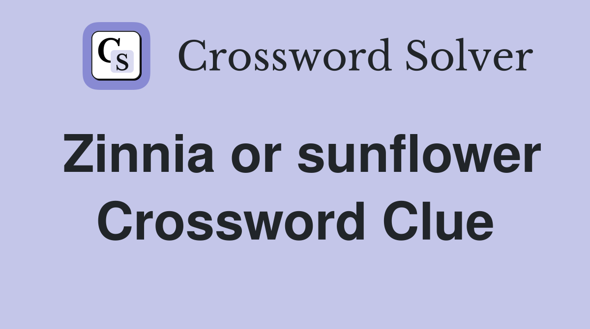 Zinnia or sunflower Crossword Clue