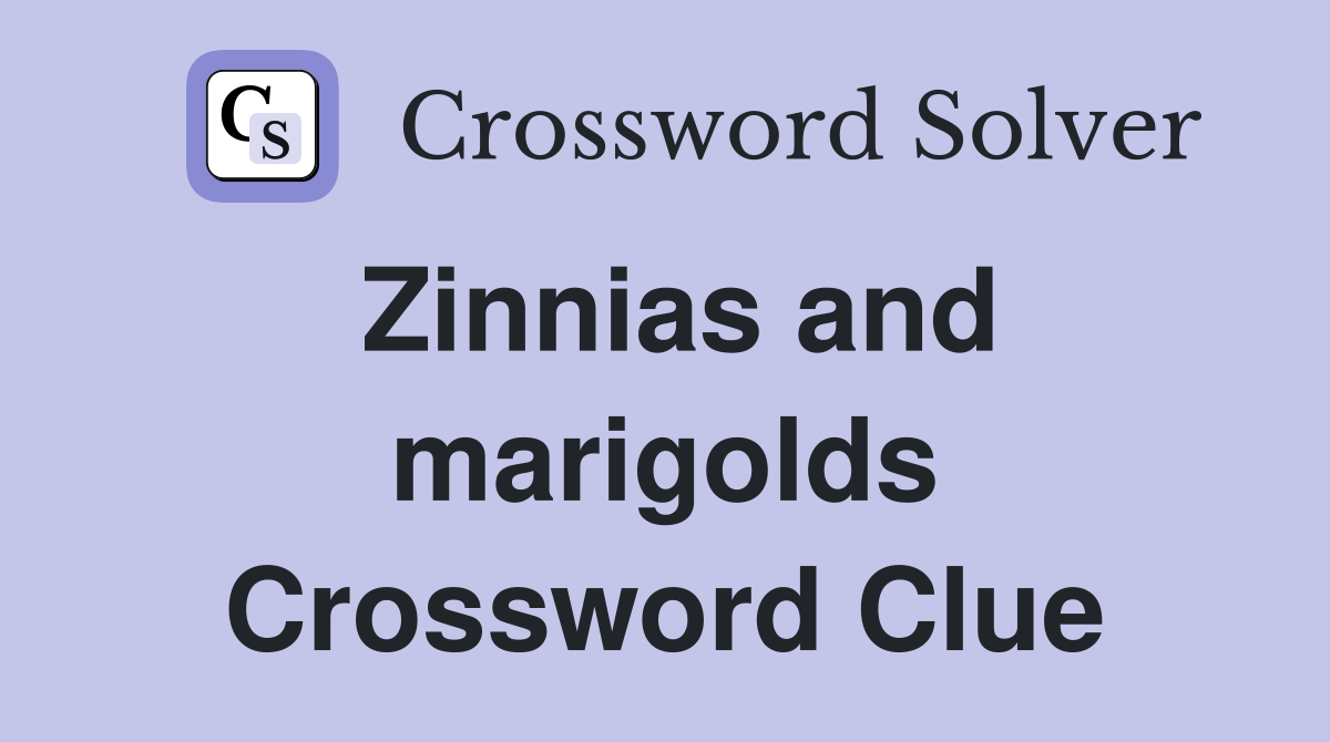 Zinnias and marigolds Crossword Clue