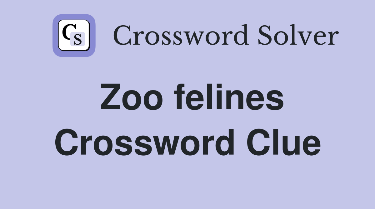 Zoo felines Crossword Clue