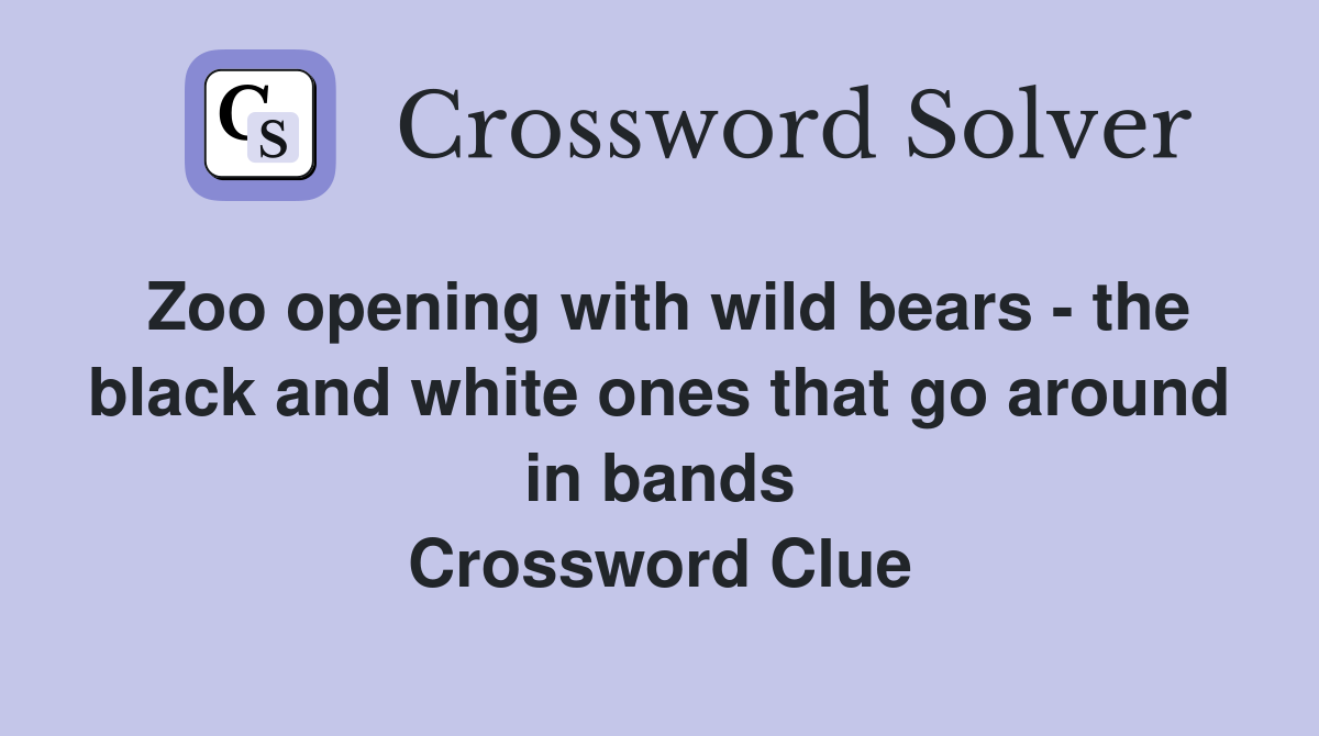 Zoo opening with wild bears - the black and white ones that go around in bands Crossword Clue