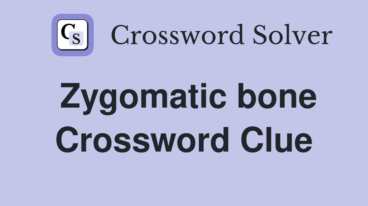Zygomatic bone Crossword Clue