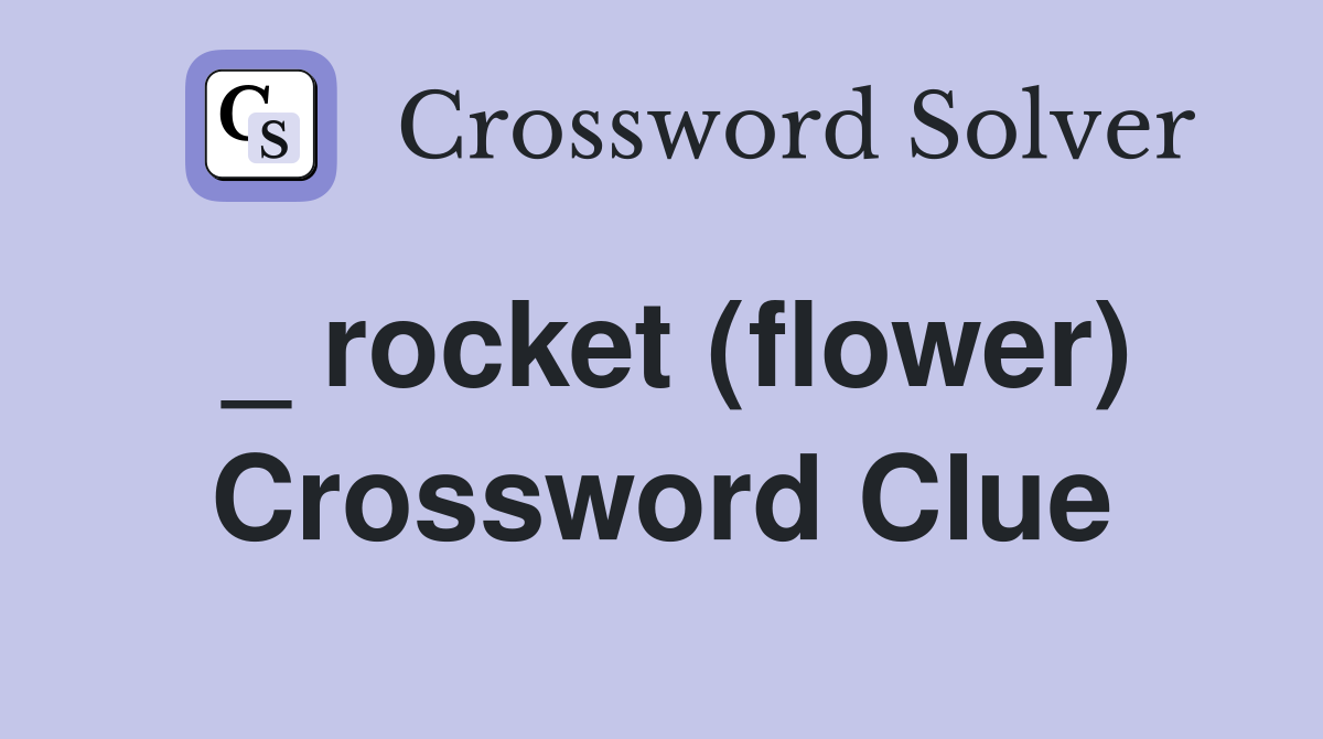 _ rocket (flower) Crossword Clue