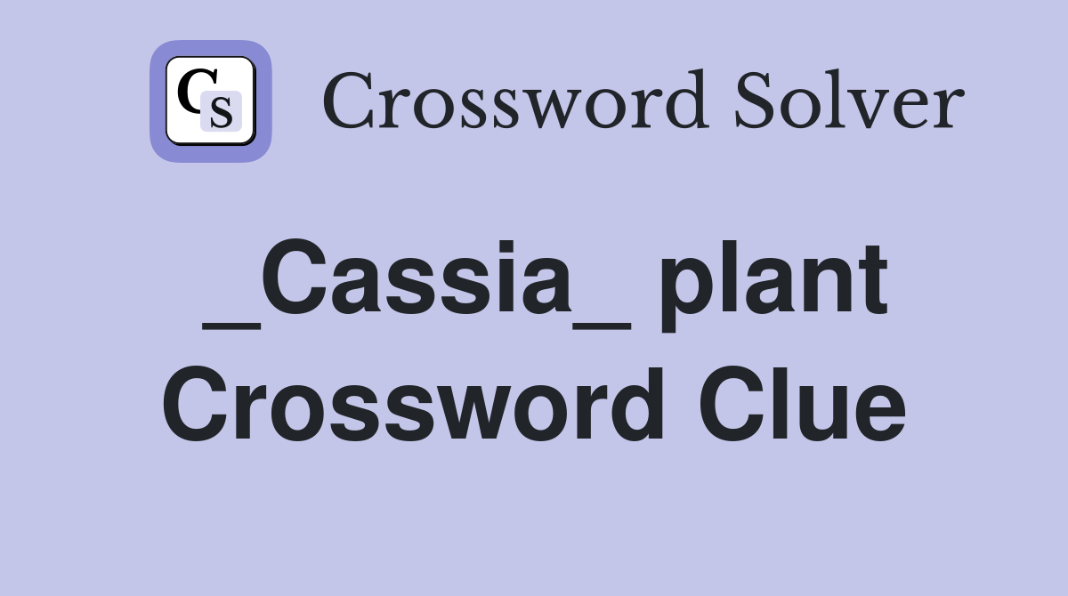 _Cassia_ plant Crossword Clue