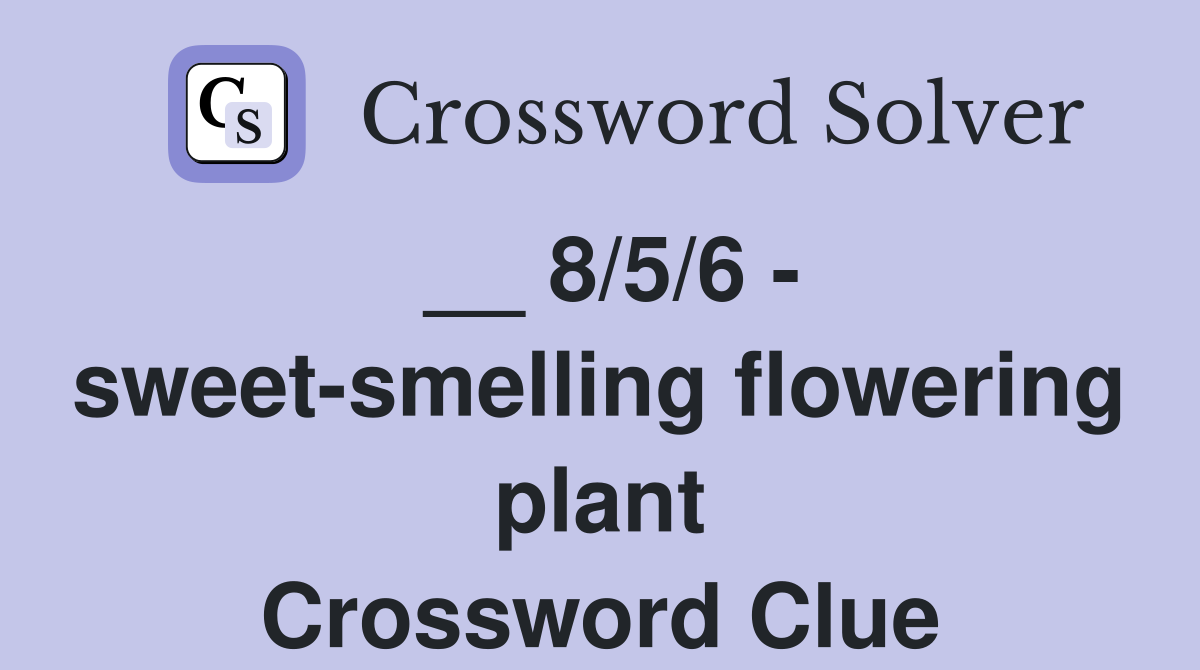 __ 8/5/6 - sweet-smelling flowering plant Crossword Clue