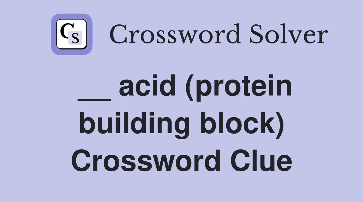 __ acid (protein building block) Crossword Clue