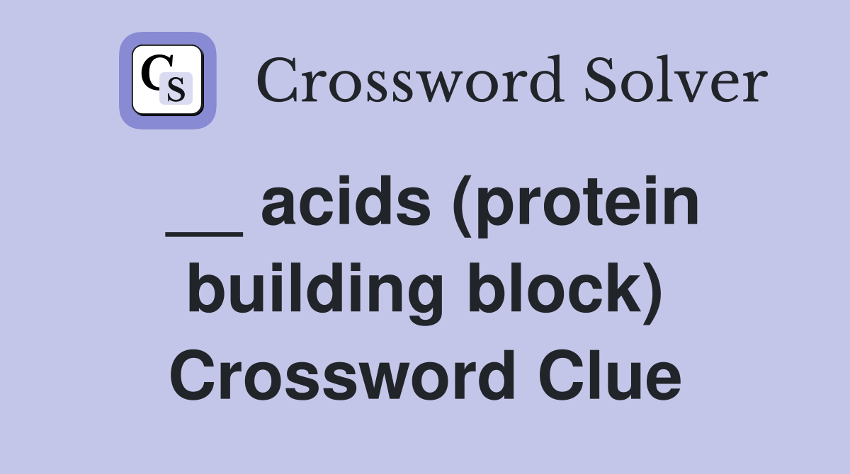 __ acids (protein building block) Crossword Clue