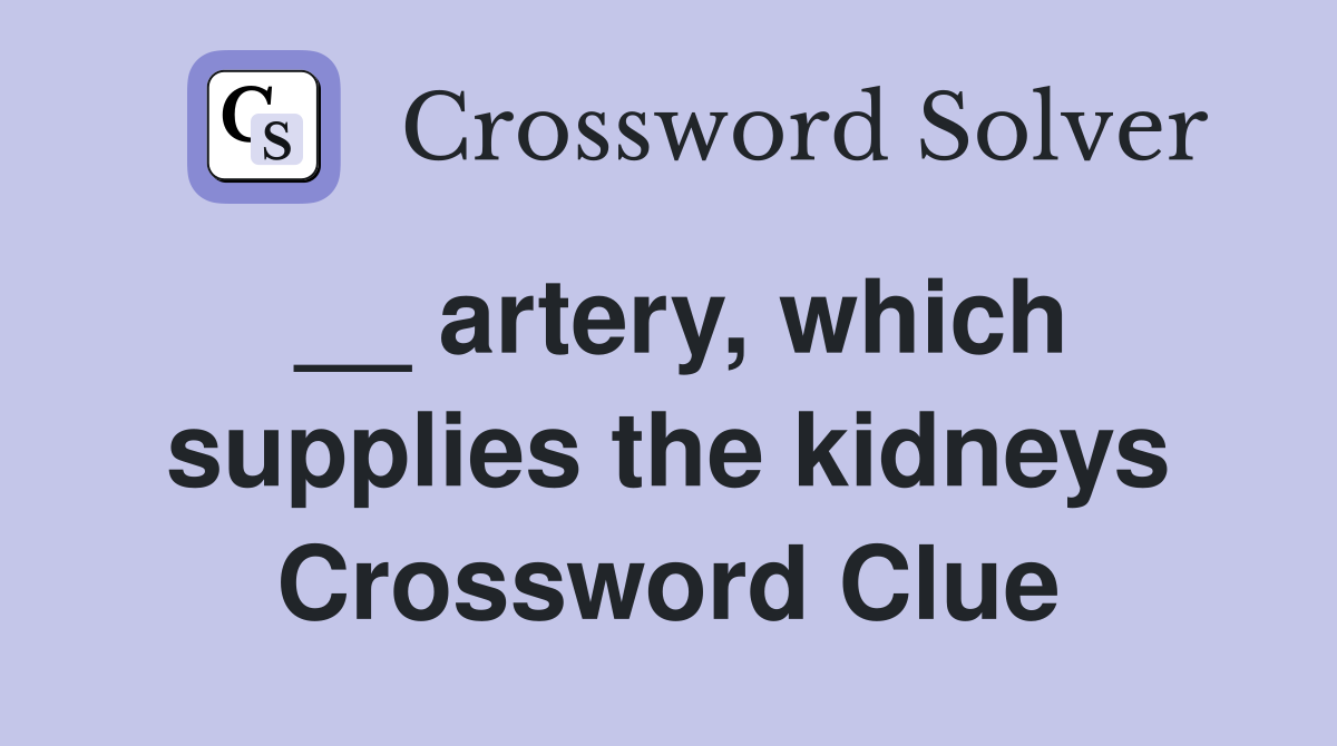 __ artery, which supplies the kidneys Crossword Clue