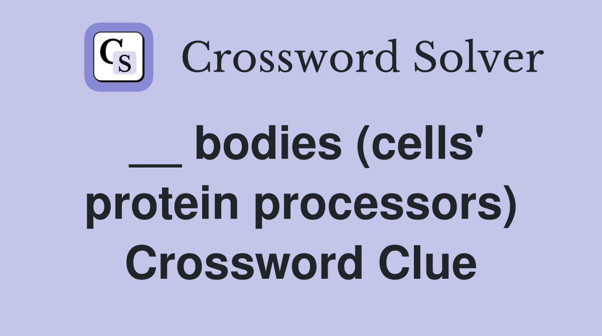 __ bodies (cells' protein processors) Crossword Clue