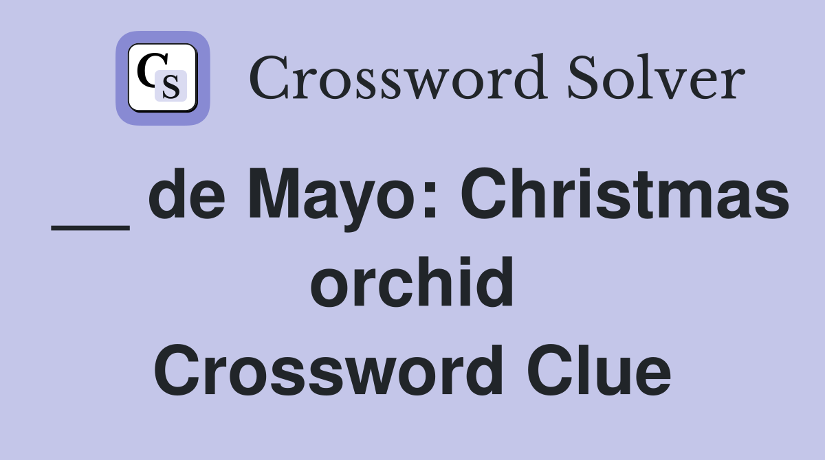 __ de Mayo: Christmas orchid Crossword Clue