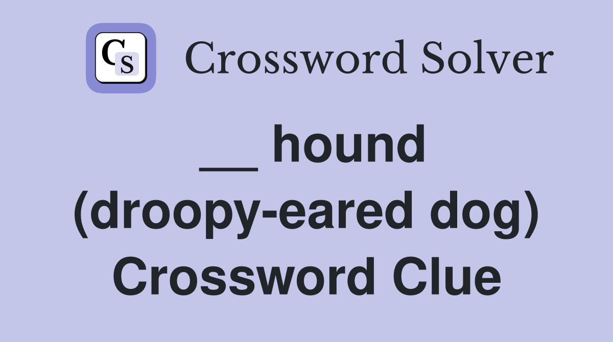 __ hound (droopy-eared dog) Crossword Clue