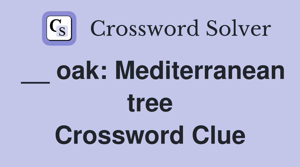 __ oak: Mediterranean tree Crossword Clue
