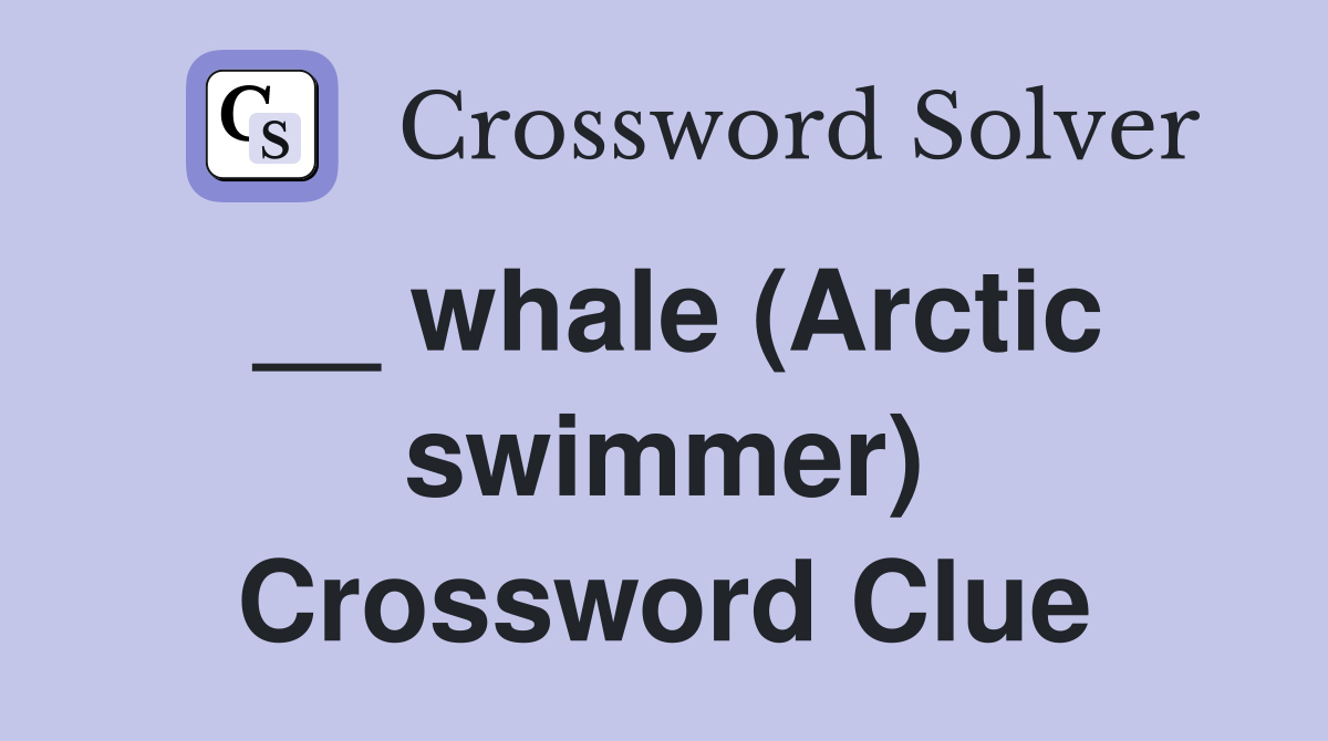 __ whale (Arctic swimmer) Crossword Clue