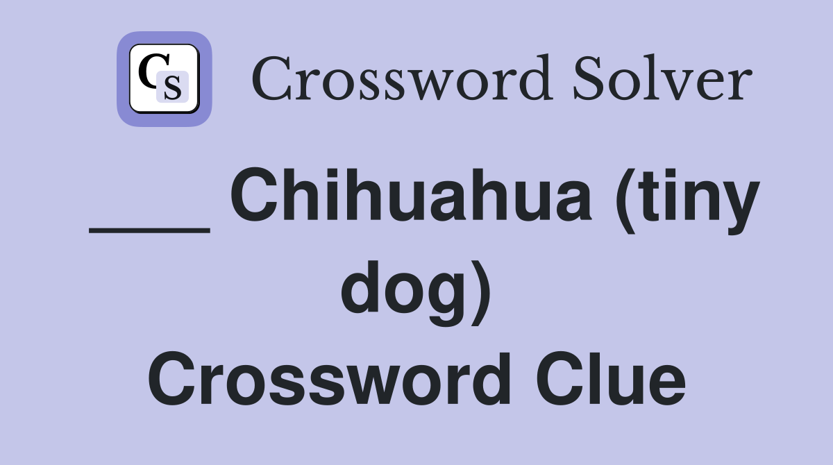 ___ Chihuahua (tiny dog) Crossword Clue