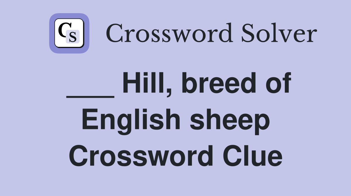 ___ Hill, breed of English sheep Crossword Clue