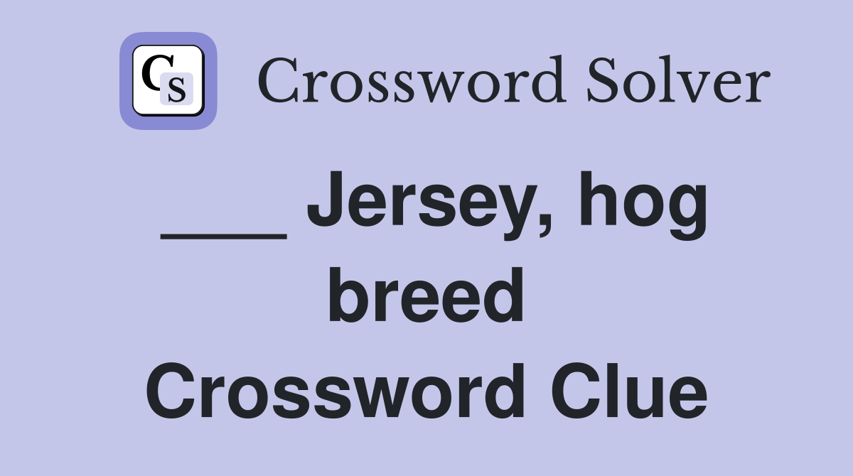 ___ Jersey, hog breed Crossword Clue