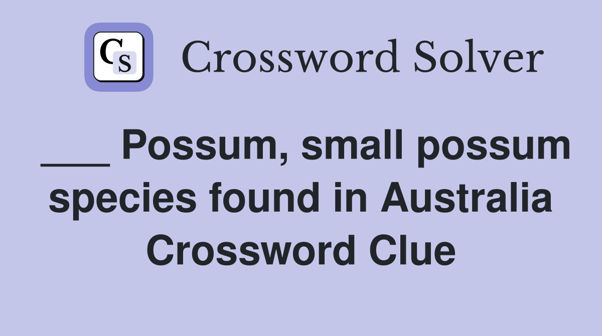 ___ Possum, small possum species found in Australia Crossword Clue