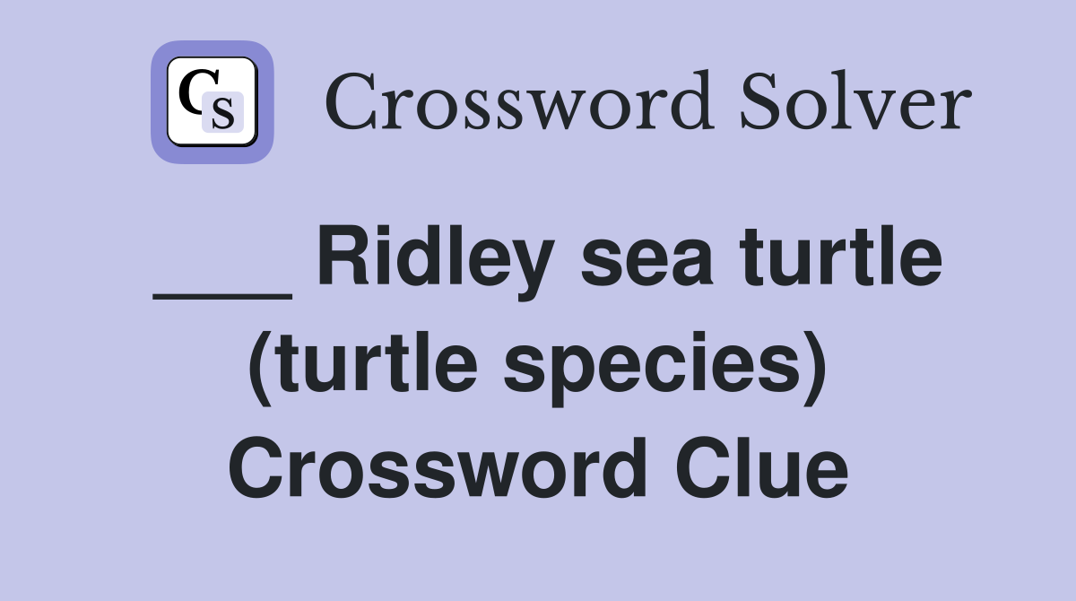 ___ Ridley sea turtle (turtle species) Crossword Clue