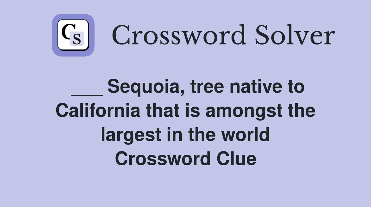 ___ Sequoia, tree native to California that is amongst the largest in the world Crossword Clue