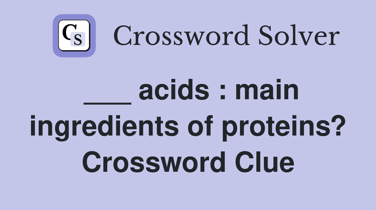 ___ acids : main ingredients of proteins? Crossword Clue