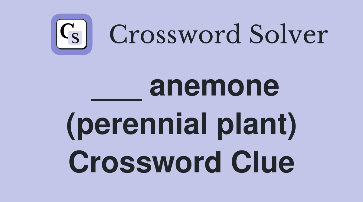 ___ anemone (perennial plant) Crossword Clue
