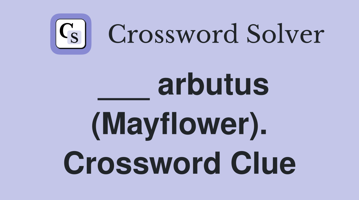 ___ arbutus (Mayflower). Crossword Clue