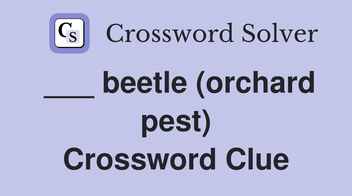 ___ beetle (orchard pest) Crossword Clue