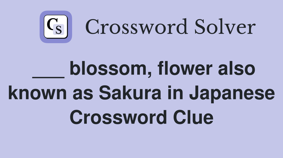 ___ blossom, flower also known as Sakura in Japanese Crossword Clue
