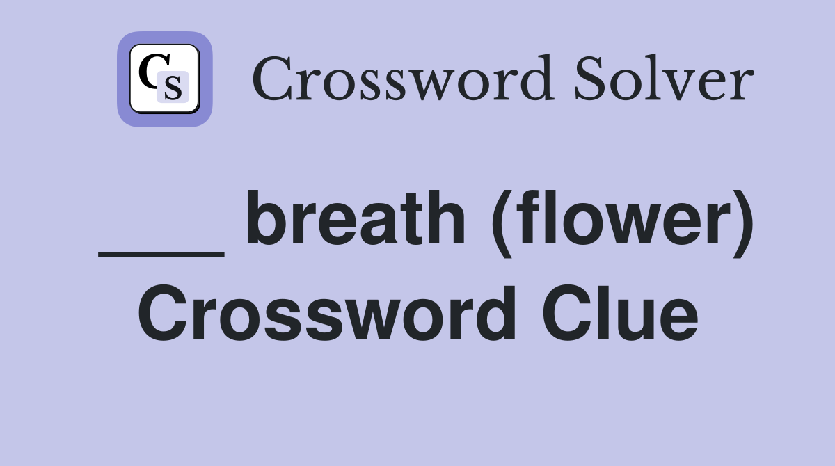 ___ breath (flower) Crossword Clue