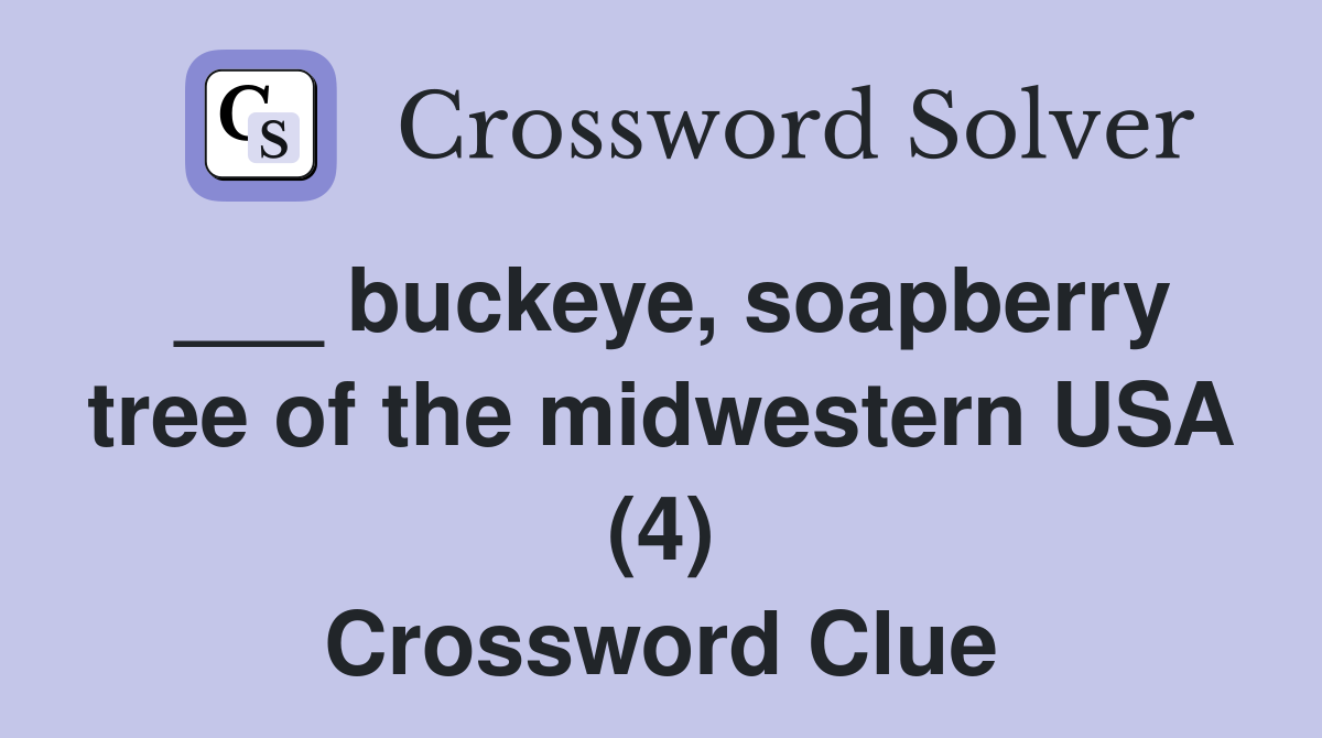 ___ buckeye, soapberry tree of the midwestern USA (4) Crossword Clue