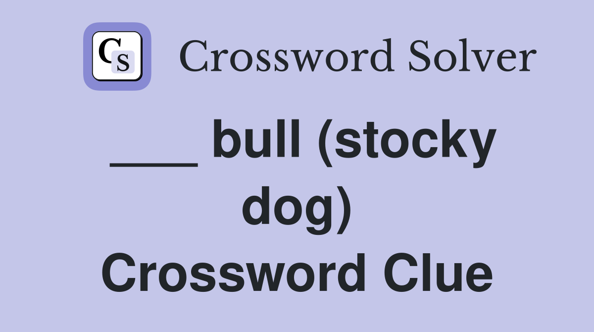 ___ bull (stocky dog) Crossword Clue