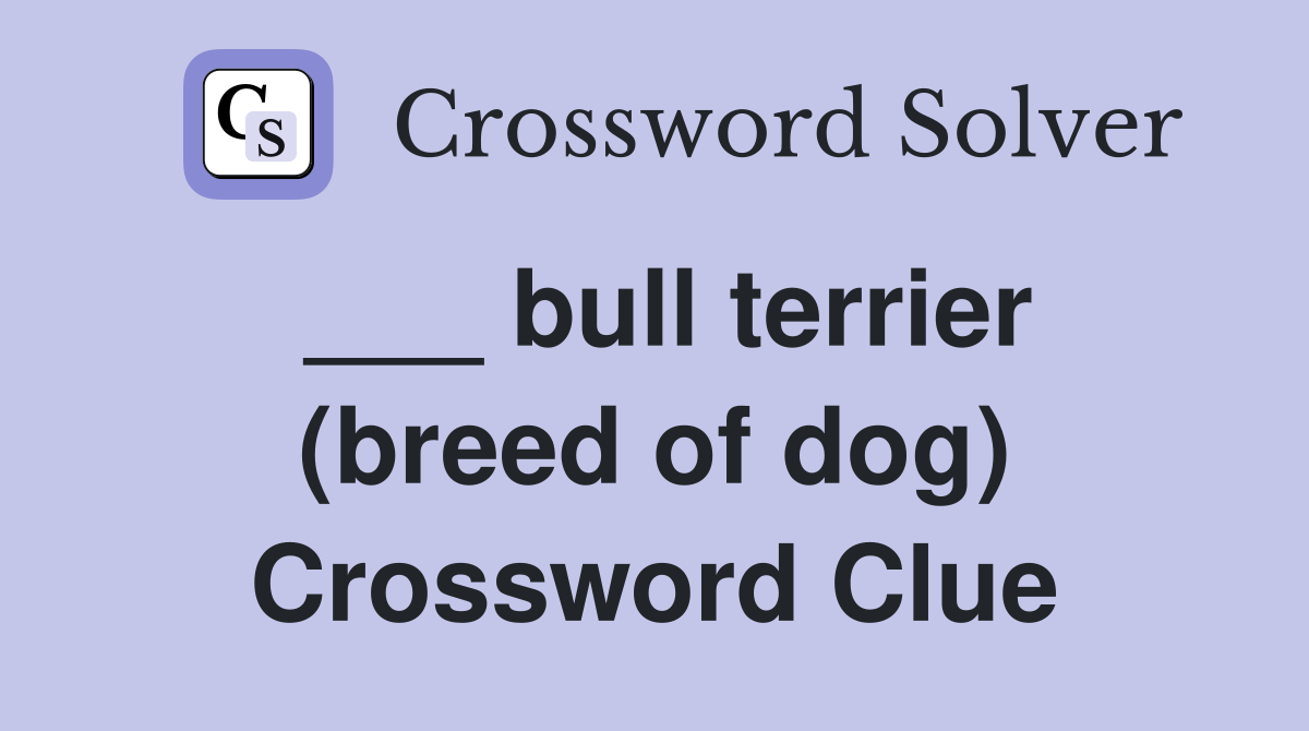 ___ bull terrier (breed of dog) Crossword Clue