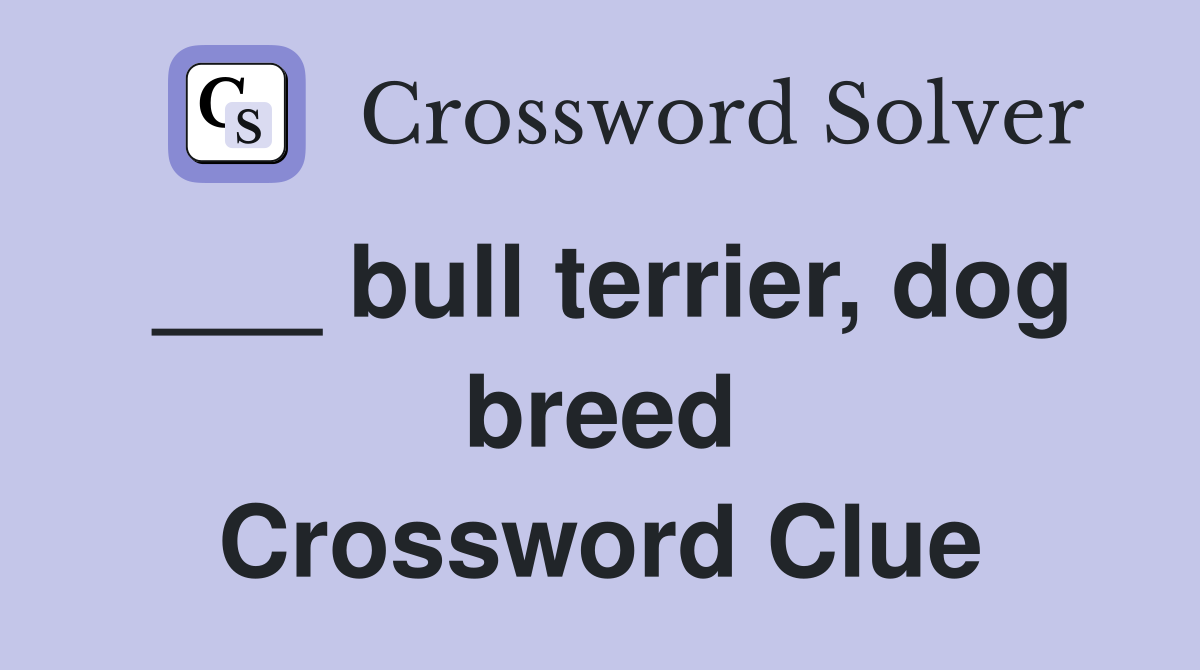 ___ bull terrier, dog breed Crossword Clue