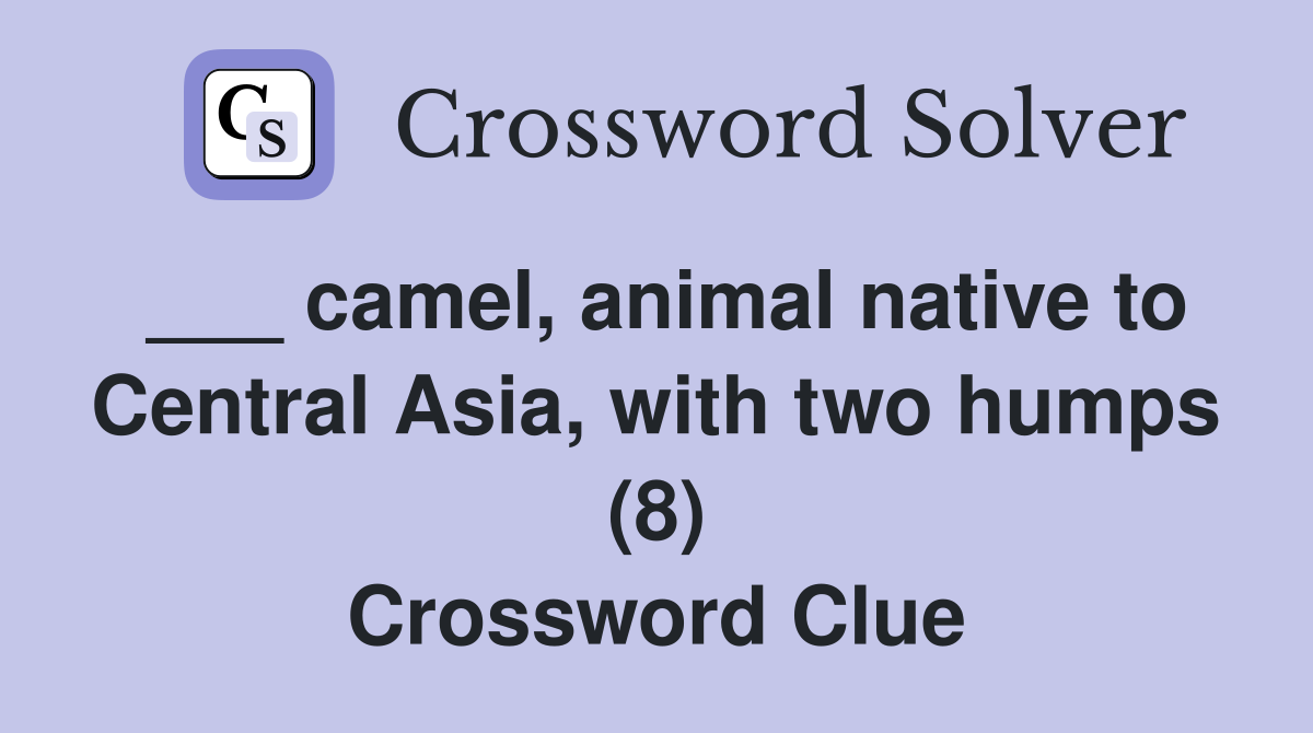 ___ camel, animal native to Central Asia, with two humps (8) Crossword Clue