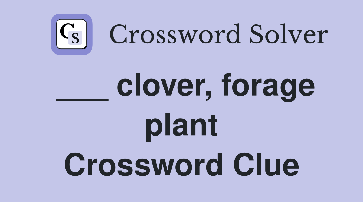 ___ clover, forage plant Crossword Clue