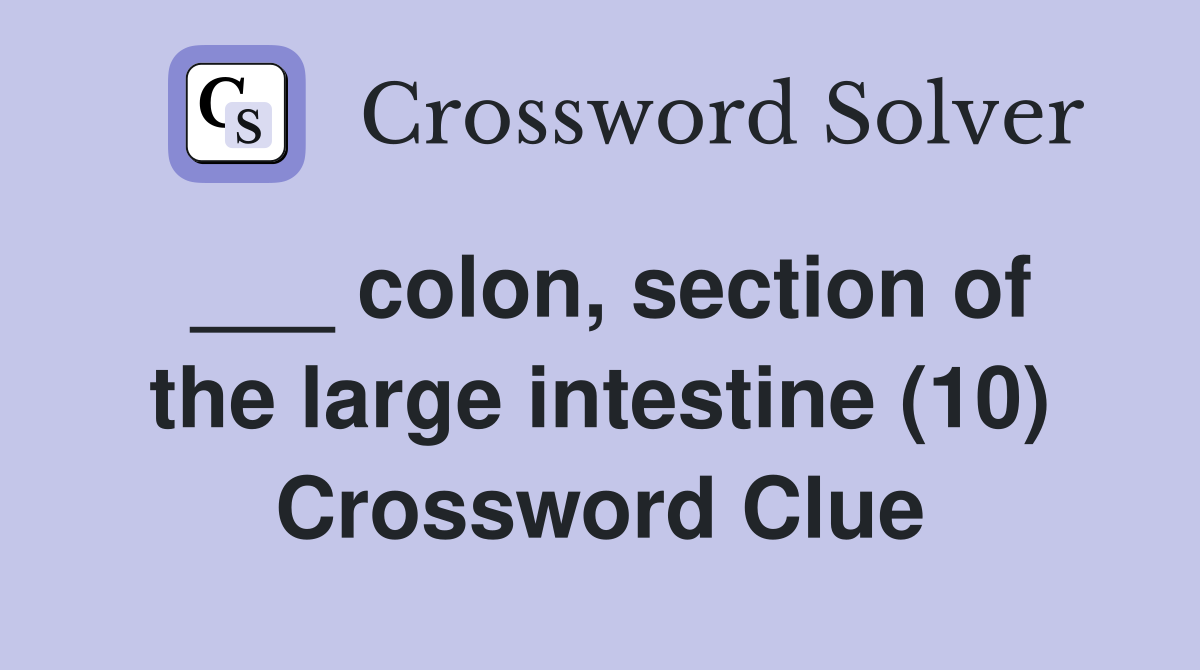 ___ colon, section of the large intestine (10) Crossword Clue