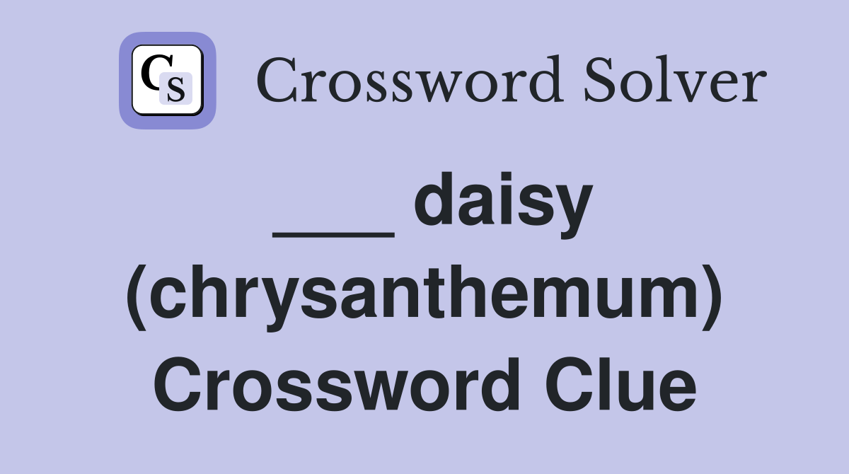 ___ daisy (chrysanthemum) Crossword Clue